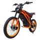 Электропитбайк Kugoo Wish 02 Pro